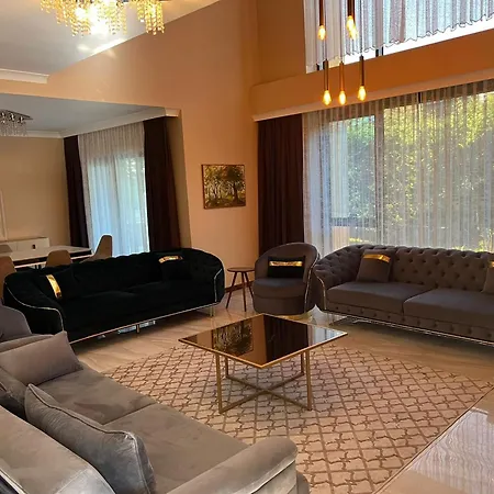 Villa Dsf Villas&spa A16 Sapanca